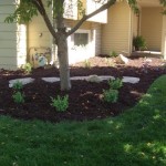 Chilton flagstone path